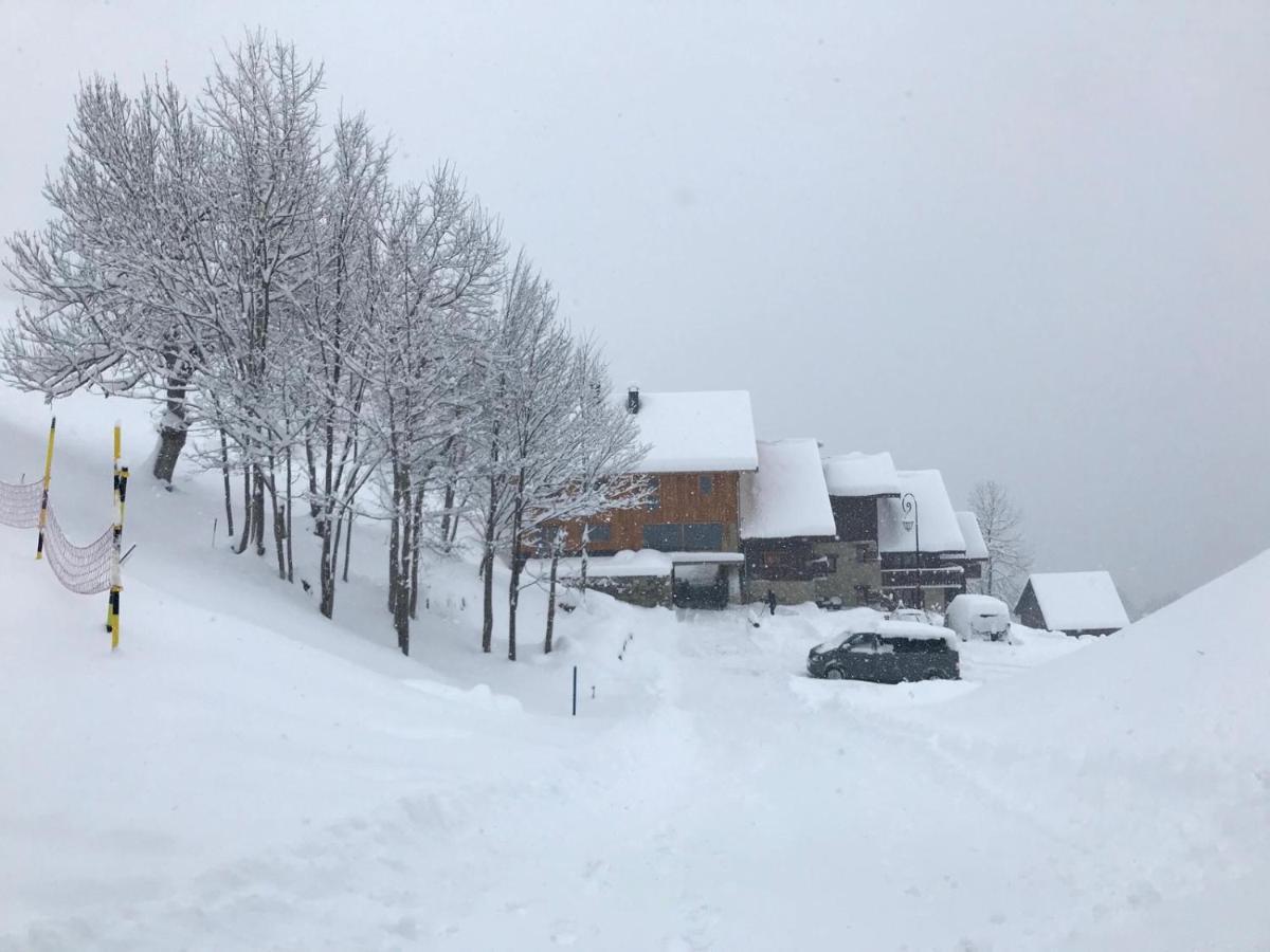 Chalet Lucie Le Cheval Noir 벨모렐 외부 사진