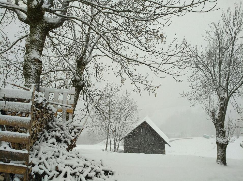 Chalet Lucie Le Cheval Noir 벨모렐 외부 사진