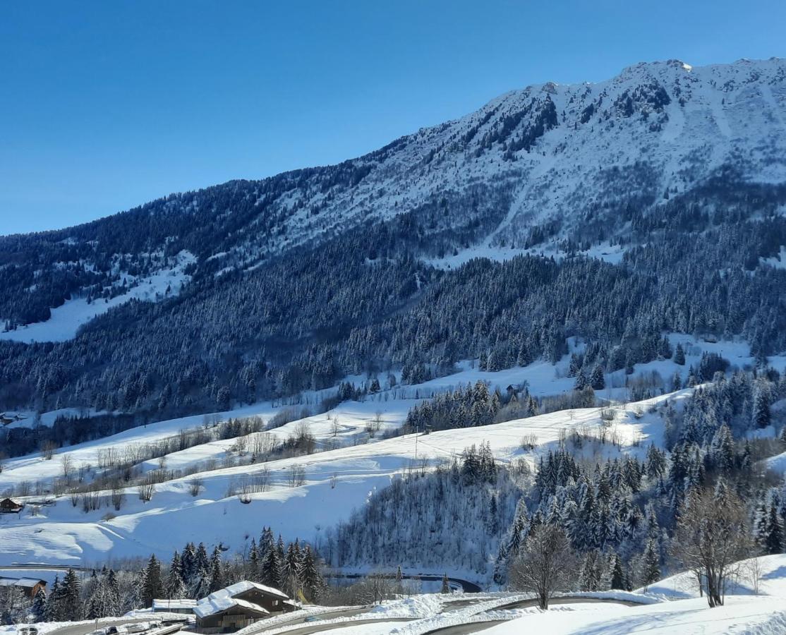 Chalet Lucie Le Cheval Noir 벨모렐 외부 사진